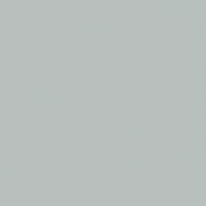 Grey Liner 222
