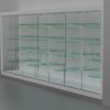 showcase wall with shelves