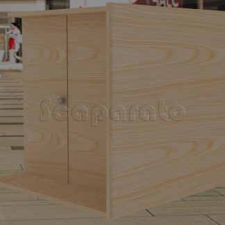 modulo de consultorio